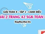 Giải bài 2 trang 42 Toán 8 Tập 1 SGK Cánh Diều